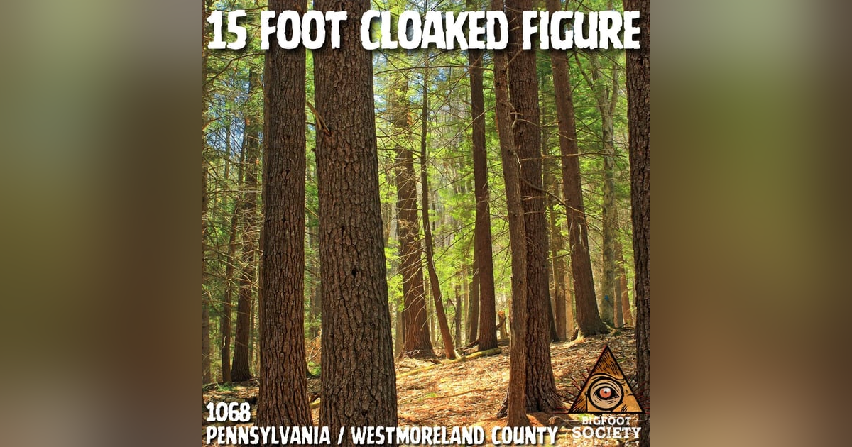 A Hunter in Westmoreland County Describes the Moment Something Passed Beneath His Stand A Hunter in Westmoreland County Describes the Moment Something Passed Beneath His Stand