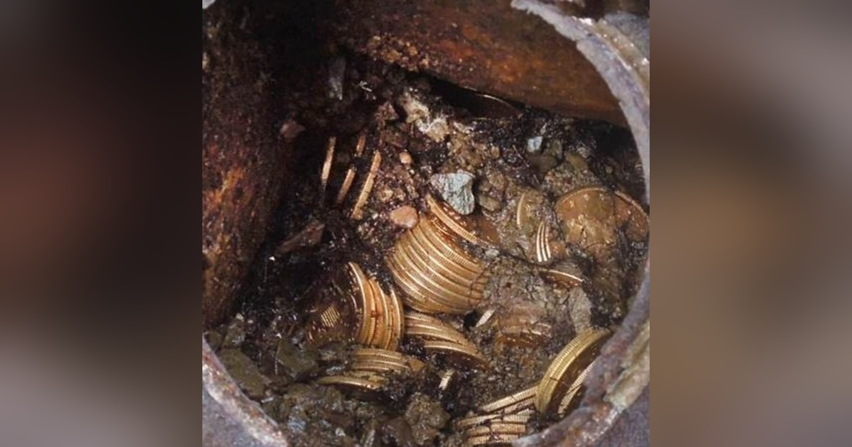 Historias de Miedo Agosto 12 2021 LAS FECHORIAS DEL PANTERA Historias de Miedo Agosto 12 2021 LAS FECHORIAS DEL PANTERA