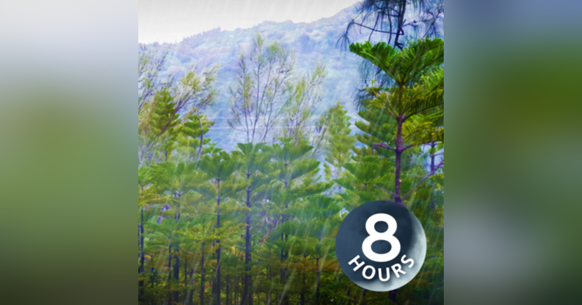 Forest Rainstorm Sound for Sleeping or Studying 8 hours | Rain Sounds White Noise Forest Rainstorm Sound for Sleeping or Studying 8 hours | Rain Sounds White Noise