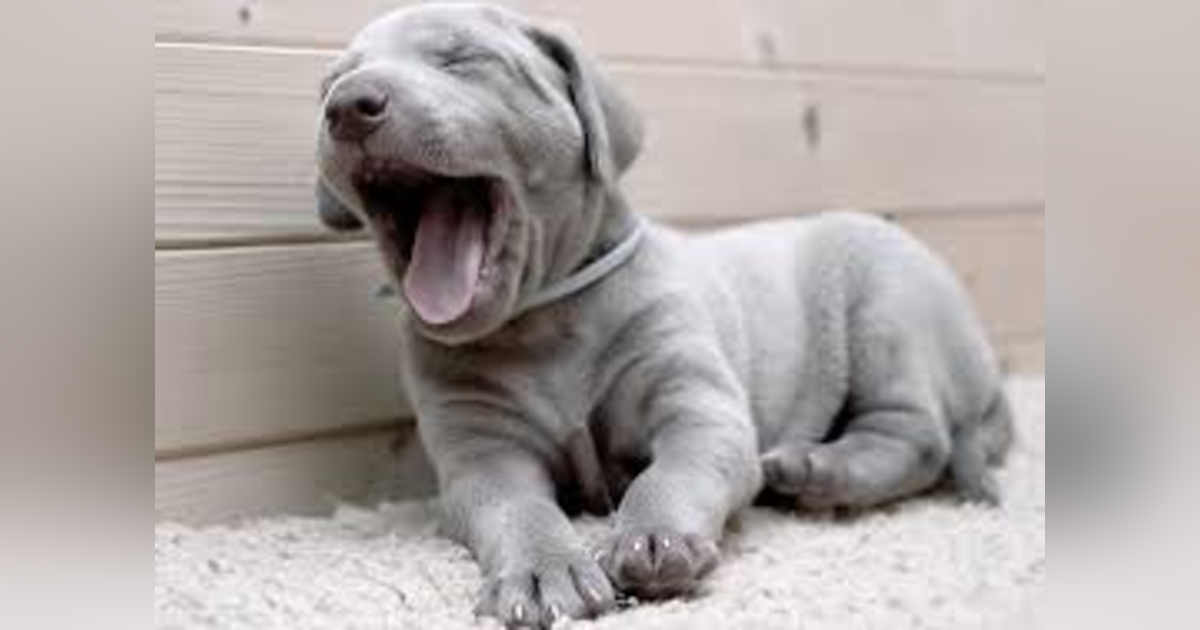 How You Sleep Today Affects How You Face Tomorrow How You Sleep Today Affects How You Face Tomorrow