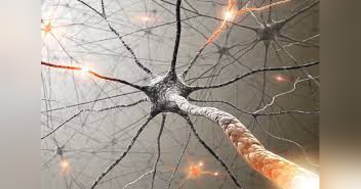 New Neural Pathways in Five Minutes a Day! New Neural Pathways in Five Minutes a Day!