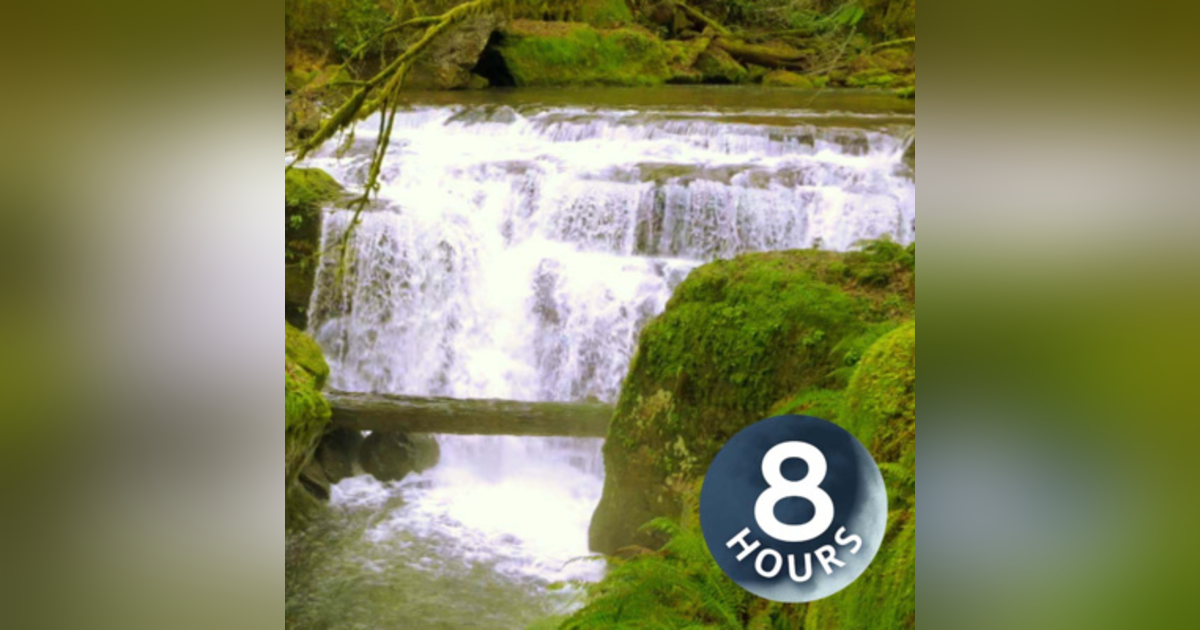 Calming Forest 8 Hours Waterfall White Noise for Sleep, Studying or Stress Relief Calming Forest 8 Hours Waterfall White Noise for Sleep, Studying or Stress Relief