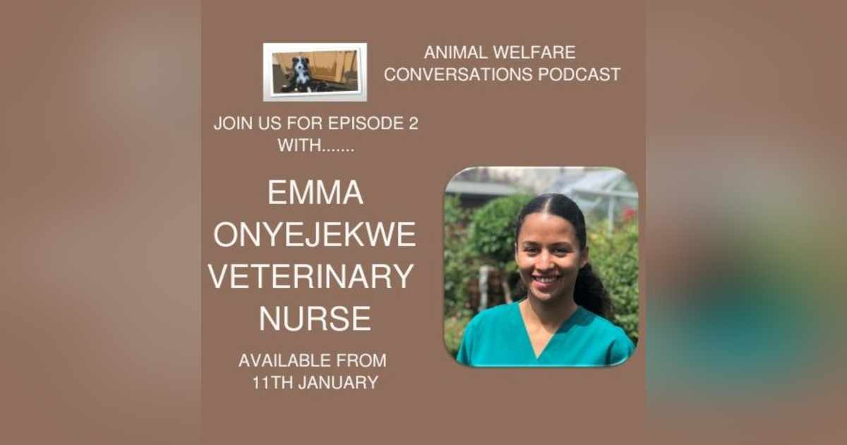Episode 2 - Emma Onyejekwe - The Wildlife Vet Nurse Episode 2 - Emma Onyejekwe - The Wildlife Vet Nurse