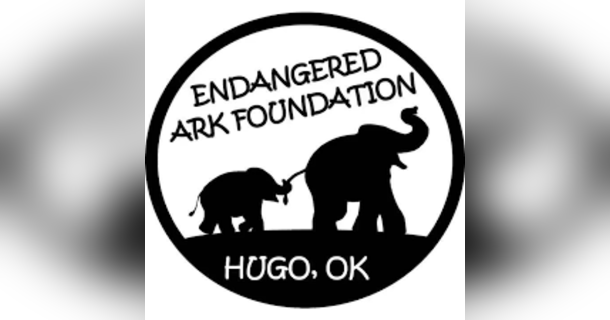 Holiday Elephant Encounters Holiday Elephant Encounters