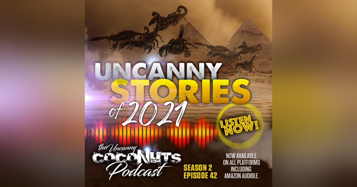 S2E42 - Uncanny Stories of 2021 S2E42 - Uncanny Stories of 2021