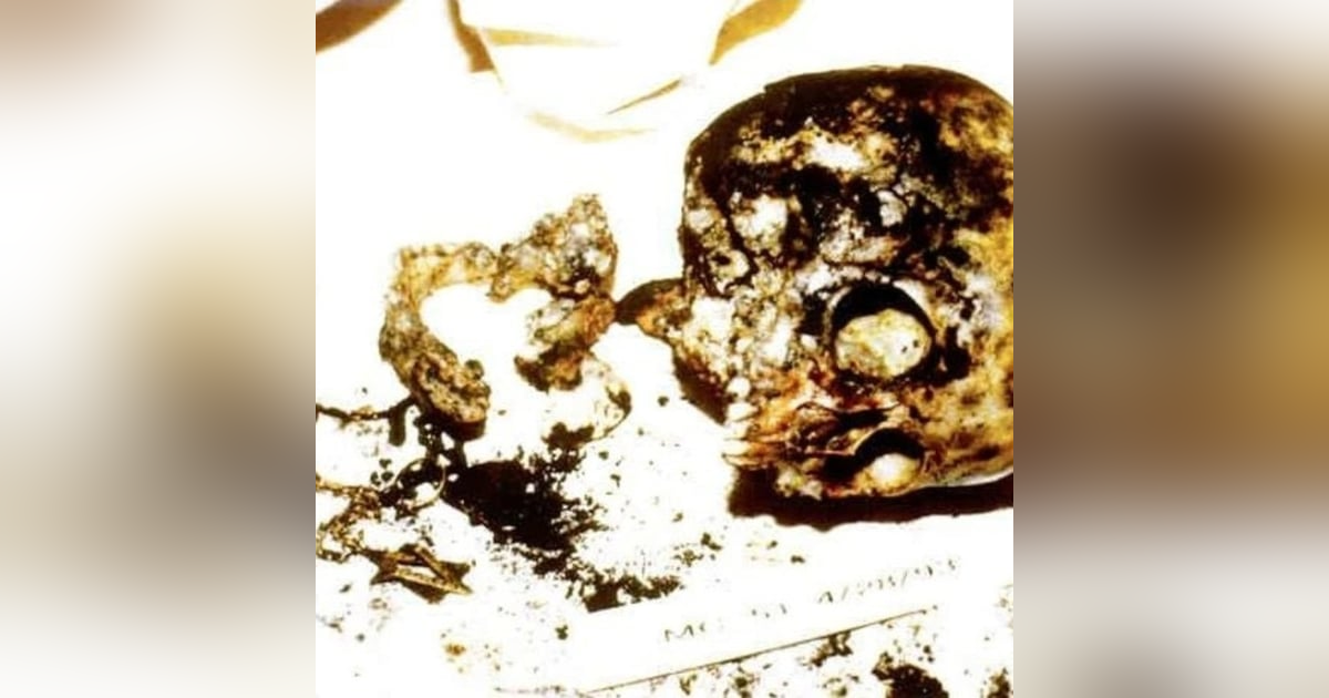 Waco Seige of 1993: Texan Child Abuse Cult, Satanic Christian Massacre, or Pentagon Burn Notice Waco Seige of 1993: Texan Child Abuse Cult, Satanic Christian Massacre, or Pentagon Burn Notice