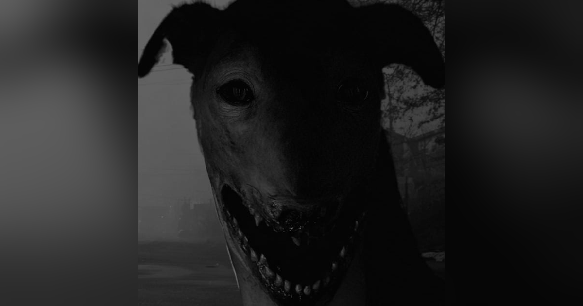 BECERROS Con Rostros HUMANOS Historias De Terror - REDE BECERROS Con Rostros HUMANOS Historias De Terror - REDE