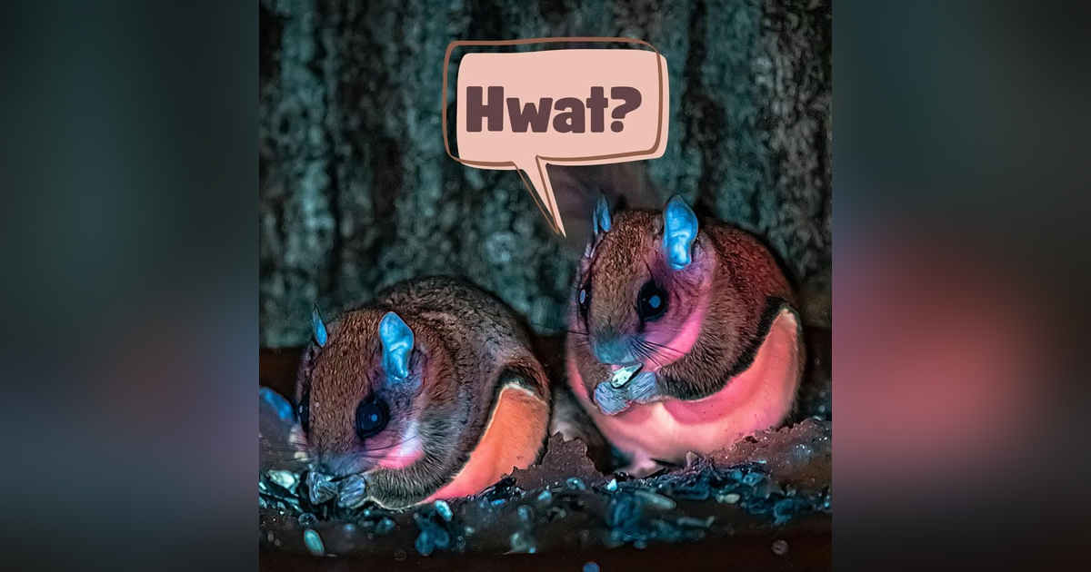 27: My Whole Life is Wait Now What About Frogs 27: My Whole Life is Wait Now What About Frogs
