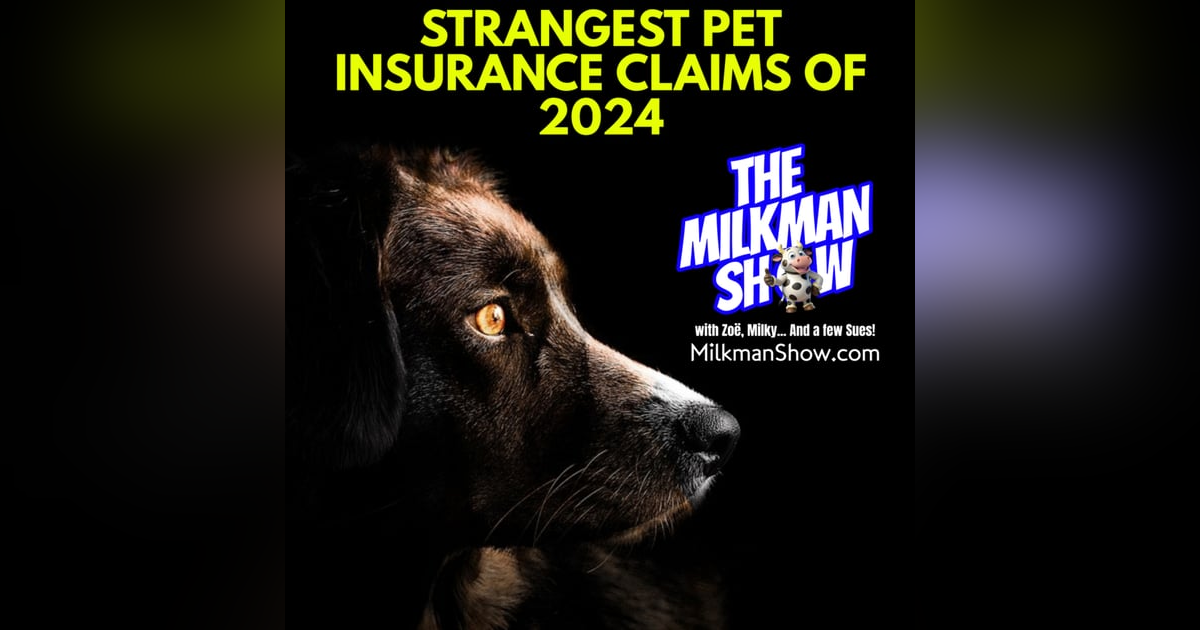 Strangest Pet Insurance Claims Of The Year Strangest Pet Insurance Claims Of The Year