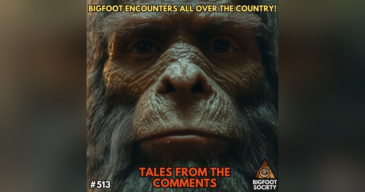 Bigfoot Encounters All Over the USA! Tales from the Comments Bigfoot Encounters All Over the USA! Tales from the Comments