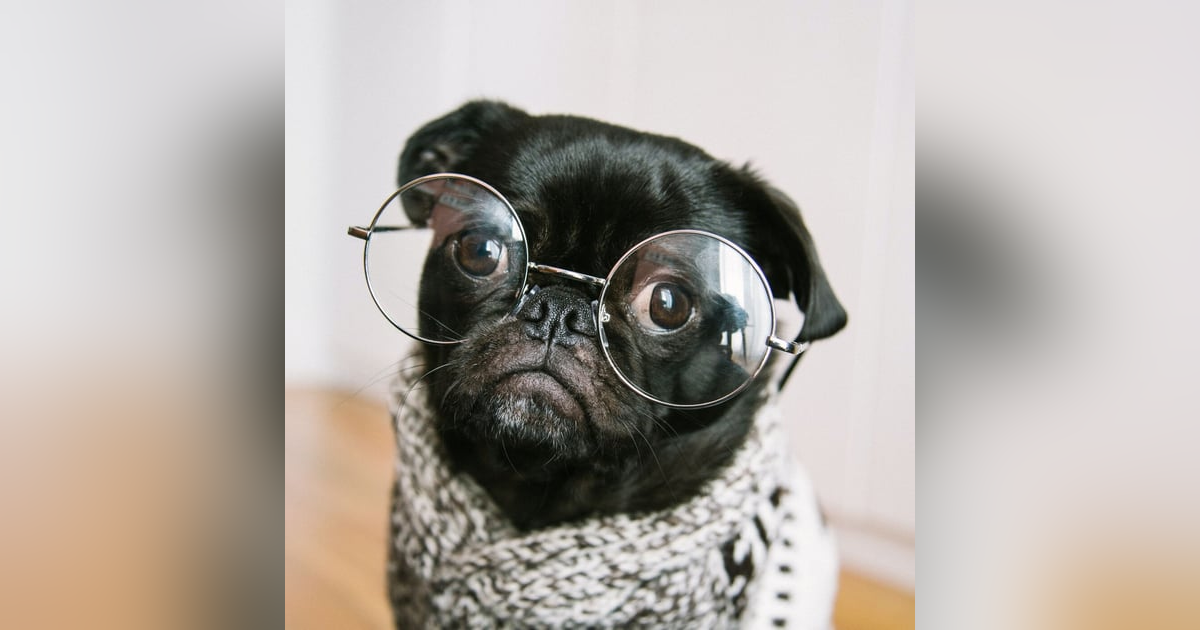 Wisdom Without Experience is FOOLISHNESS Wisdom Without Experience is FOOLISHNESS