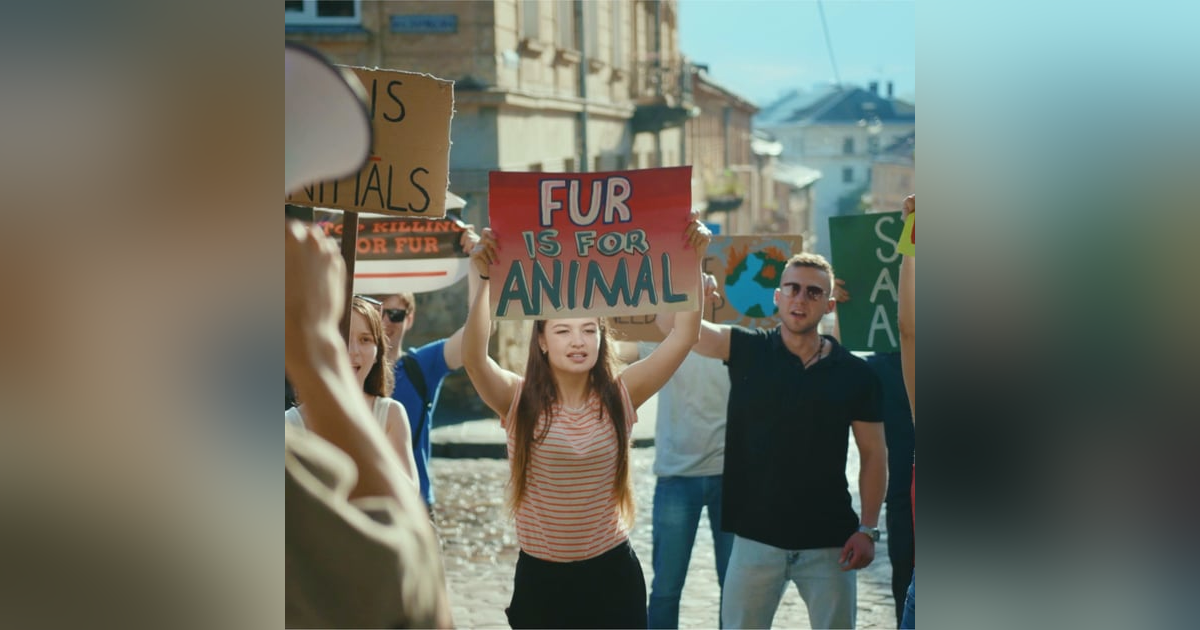 Public services and mediation Guest: John Sturrock Public services and mediation Guest: John Sturrock