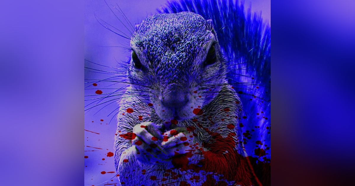 Ep.128 – Squirrels - MURDER Comes In Small Packages! Ep.128 – Squirrels - MURDER Comes In Small Packages!