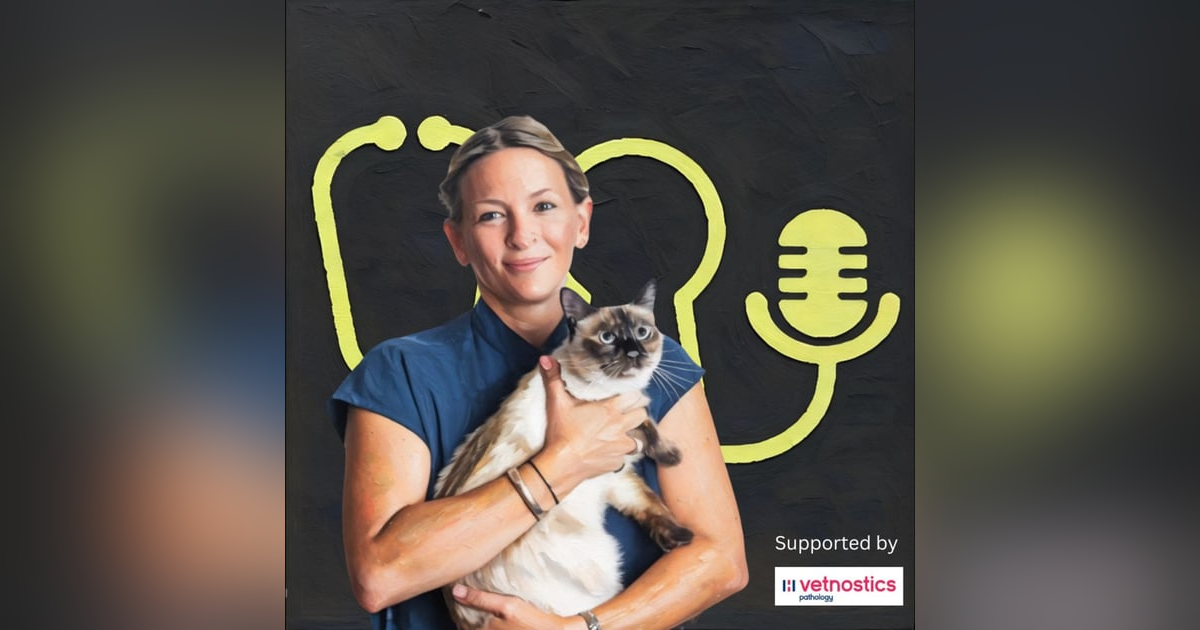 đClinical: Feline Anaemia: What Youâve Been Missing â with Dr Rachel Korman đClinical: Feline Anaemia: What Youâve Been Missing â with Dr Rachel Korman