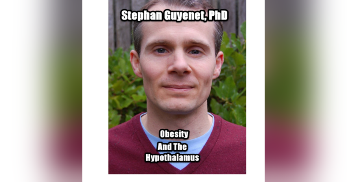 Obesity and the Hypothalamus with Stephan Guyenet, PhD Obesity and the Hypothalamus with Stephan Guyenet, PhD