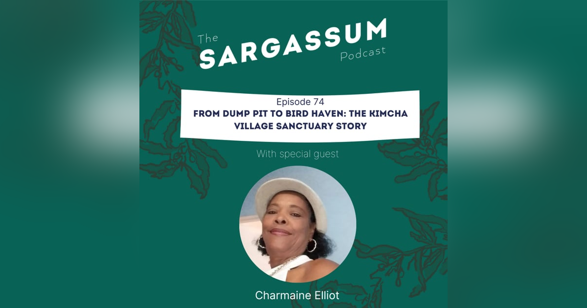 E74. From Dump Pit to Bird Haven: The Kimcha Village Sanctuary Story E74. From Dump Pit to Bird Haven: The Kimcha Village Sanctuary Story