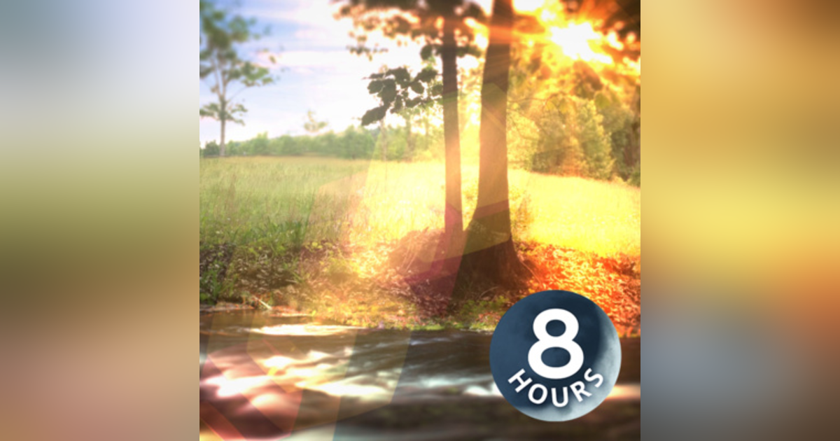 Birds & Stream in South Carolina 8 Hours | Nature Sounds to Help You Relax, Focus or Sleep Birds & Stream in South Carolina 8 Hours | Nature Sounds to Help You Relax, Focus or Sleep
