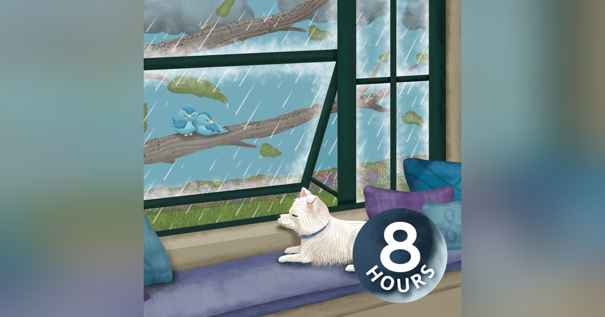 Rain & Nature Sounds to Ease Your Dog's Barking 8 Hours Rain & Nature Sounds to Ease Your Dog's Barking 8 Hours