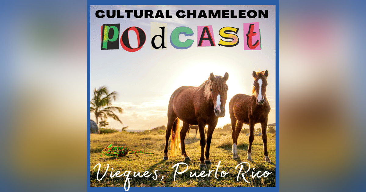 Cultural Chameleon Episode 6 - Vieques, Puerto Rico Cultural Chameleon Episode 6 - Vieques, Puerto Rico