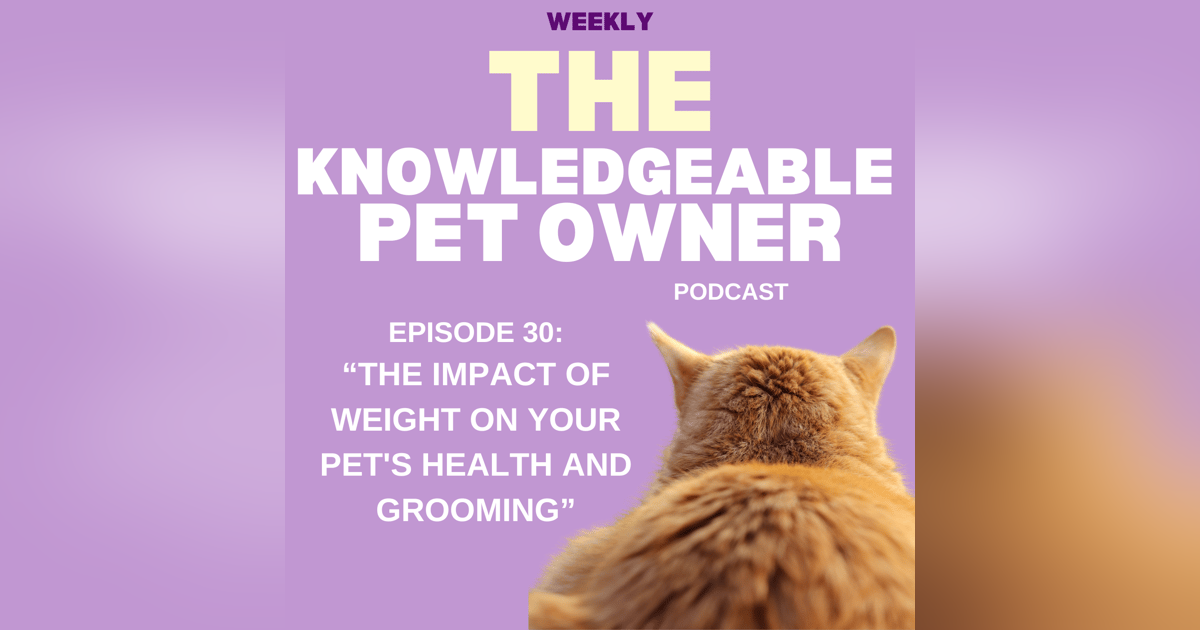 The Impact of Weight on Your Pet's Health and Grooming The Impact of Weight on Your Pet's Health and Grooming