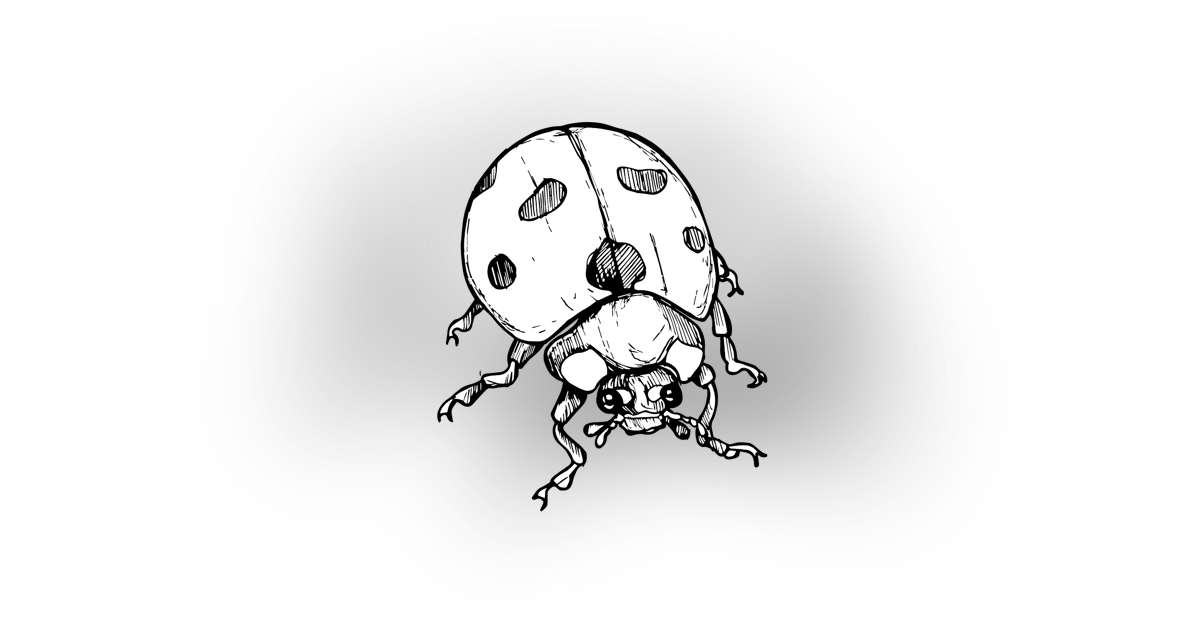 The Ladybird The Ladybird