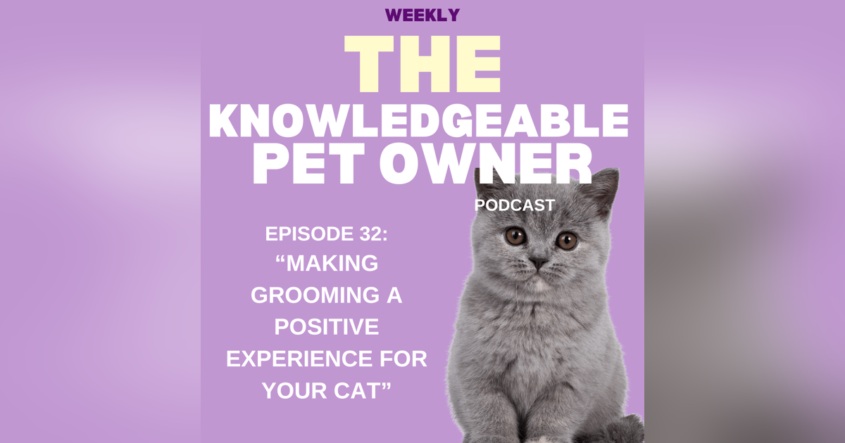 Making Grooming a Positive Experience for Your Cat Making Grooming a Positive Experience for Your Cat