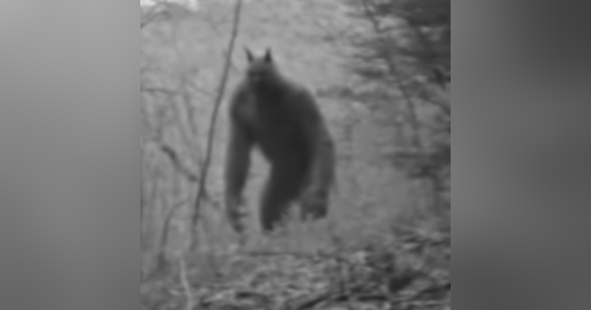 Le Renté Un Cuarto A Un Hombre NAHUAL Historias De Terror - REDE Le Renté Un Cuarto A Un Hombre NAHUAL Historias De Terror - REDE