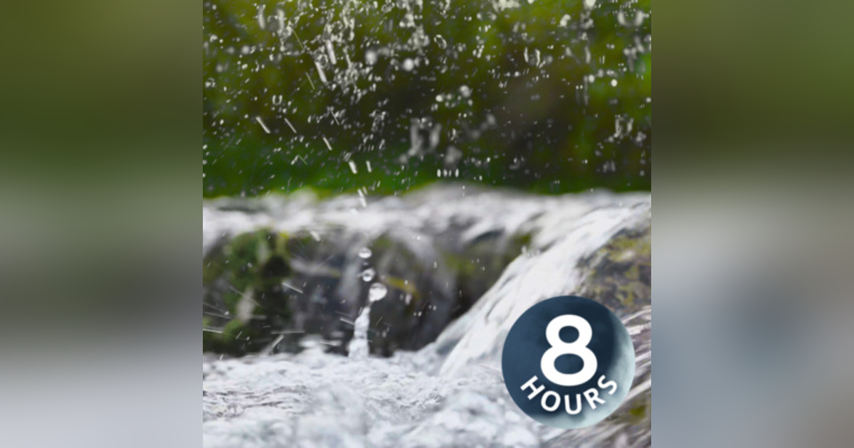 Rainfall on River | Rain & Water Sounds for Sleeping or Relaxation 8 Hours Rainfall on River | Rain & Water Sounds for Sleeping or Relaxation 8 Hours