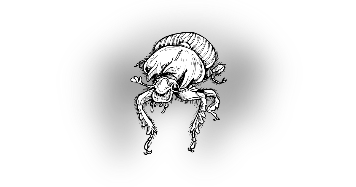 The Dung Beetle The Dung Beetle