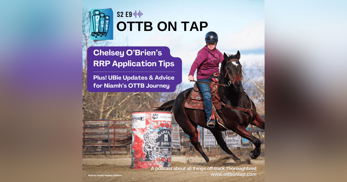 S2 E9: Chelsey O’Brien’s RRP Application Tips, UBie Updates & Advice for Niamh’s OTTB Journey S2 E9: Chelsey O’Brien’s RRP Application Tips, UBie Updates & Advice for Niamh’s OTTB Journey