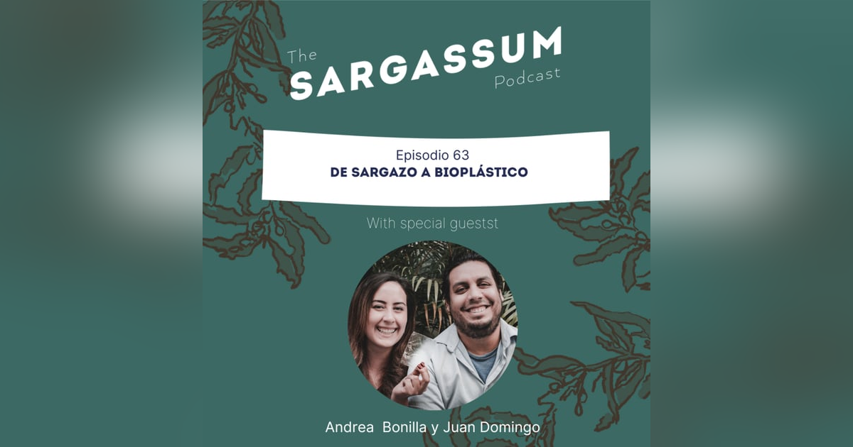 E63 De Sargazo a Bioplástico E63 De Sargazo a Bioplástico