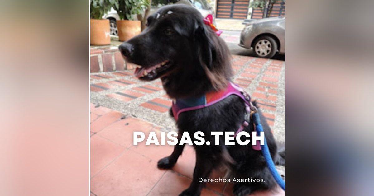 Derechos Asertivos Derechos Asertivos