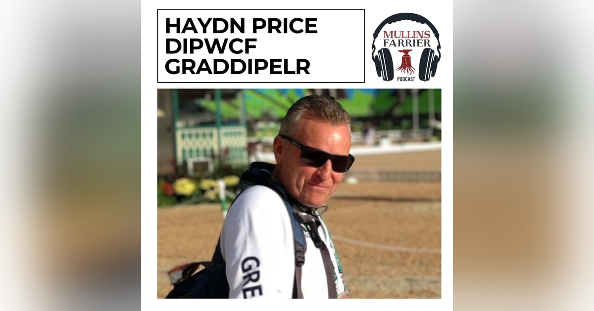 Haydn Price DipWCF GradDipELR Haydn Price DipWCF GradDipELR