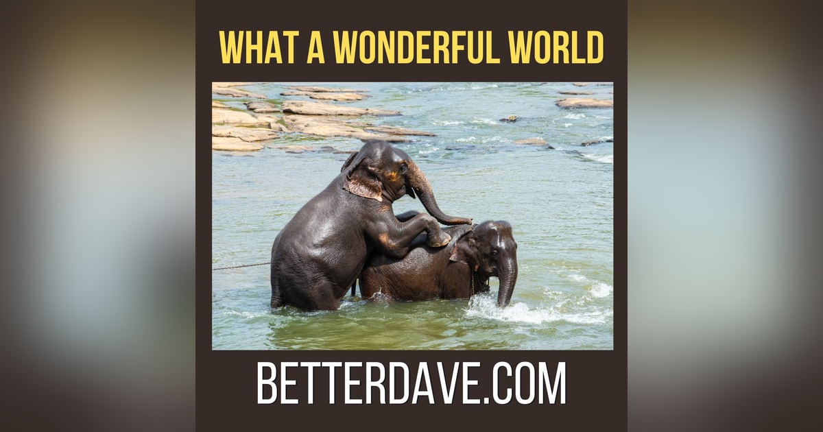 What A Wonderful World What A Wonderful World