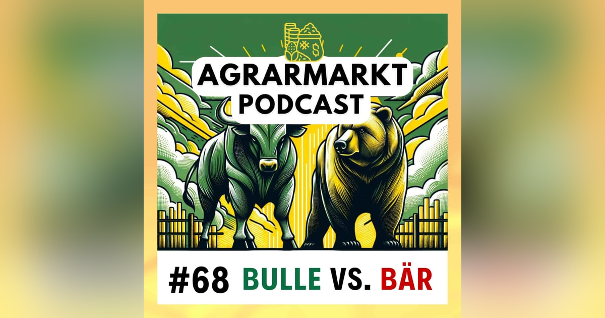 Bulle gegen Bär - Wohin gehen die Märkte? Bulle gegen Bär - Wohin gehen die Märkte?