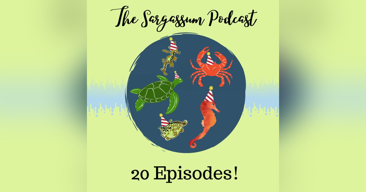 20 Episodes celebration trailer 20 Episodes celebration trailer