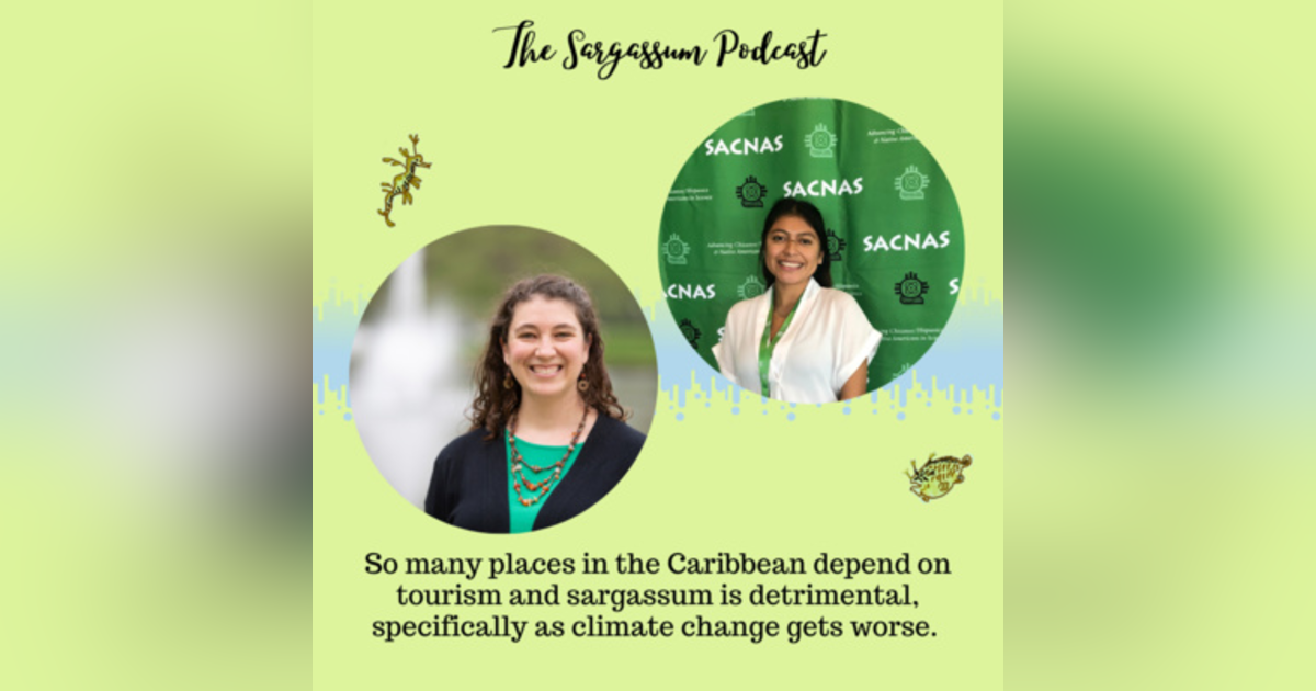 E39: Tourism, Sargassum, and Water Quality in the Cenotes of Quintana Roo Mexico with Courtney Gallaher and Emely Hernandez E39: Tourism, Sargassum, and Water Quality in the Cenotes of Quintana Roo Mexico with Courtney Gallaher and Emely Hernandez