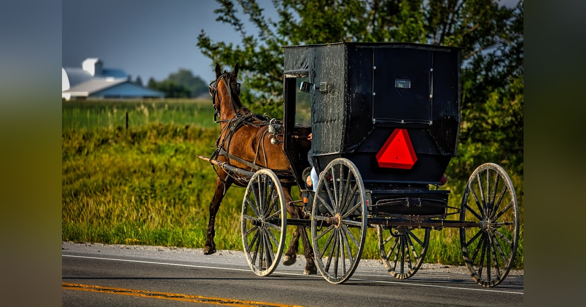 Episode 9 - Community Episode 9 - Community