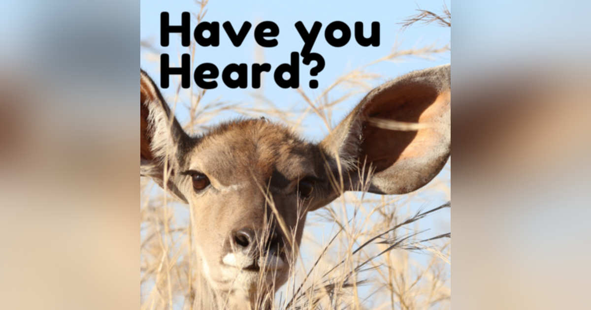 Have You Heard? with Jesse and Jordan Have You Heard? with Jesse and Jordan