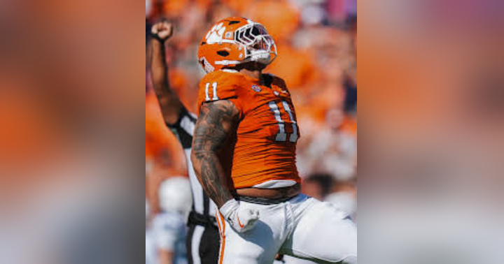 image for Draft Dreamer: Peter Woods