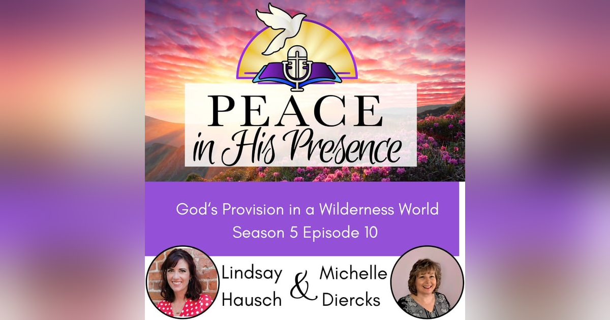 God's Provision in a Wilderness World with Lindsay Hausch God's Provision in a Wilderness World with Lindsay Hausch