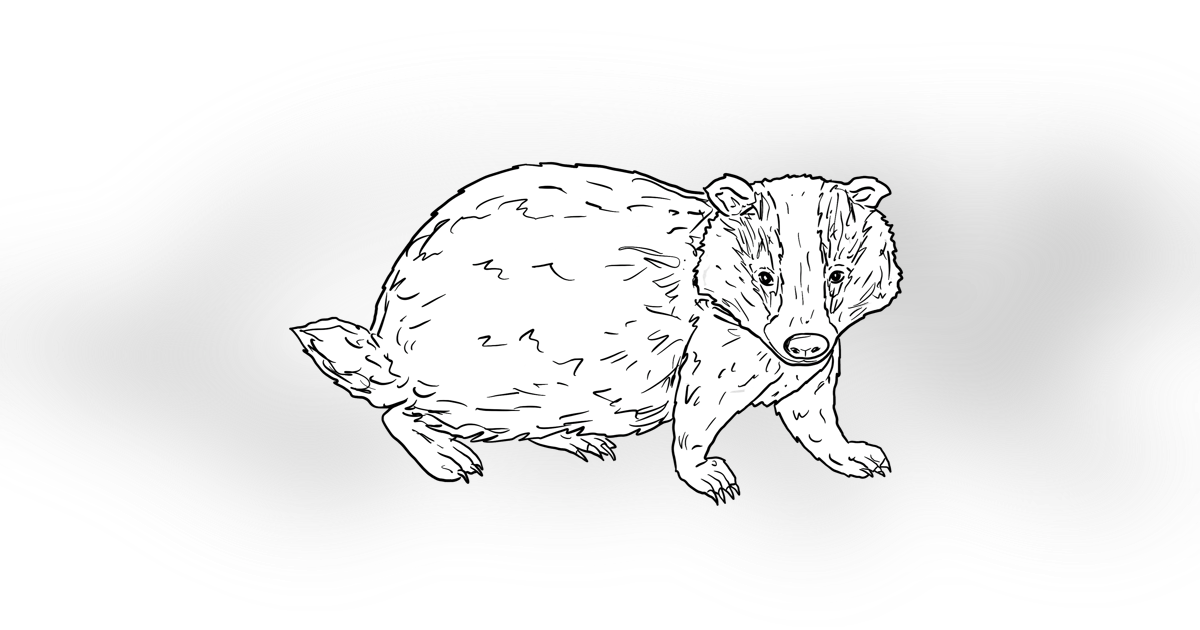 The Badger The Badger