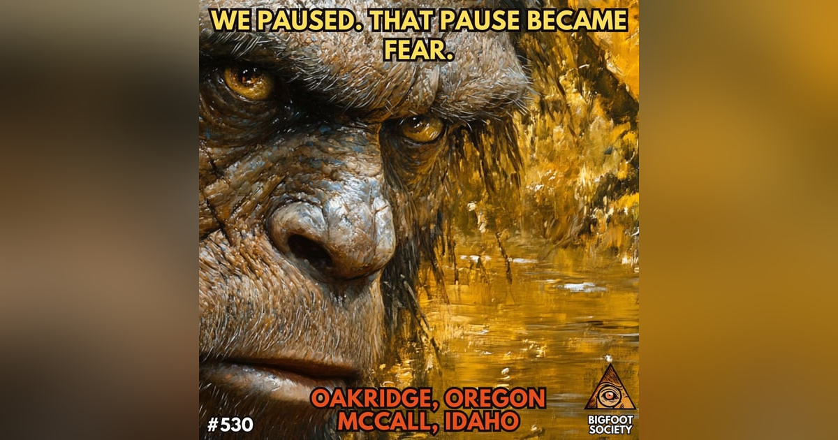 We Paused. That Pause Became Fear. We Paused. That Pause Became Fear.