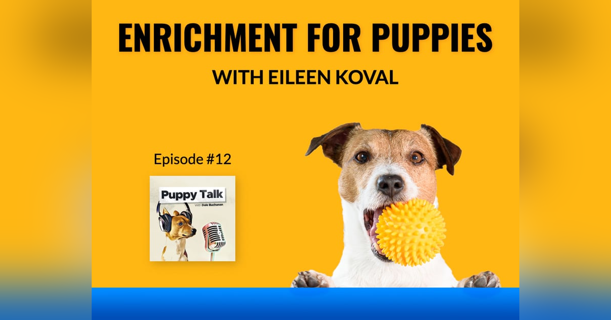 Enrichment For Puppies with Eileen Koval Enrichment For Puppies with Eileen Koval