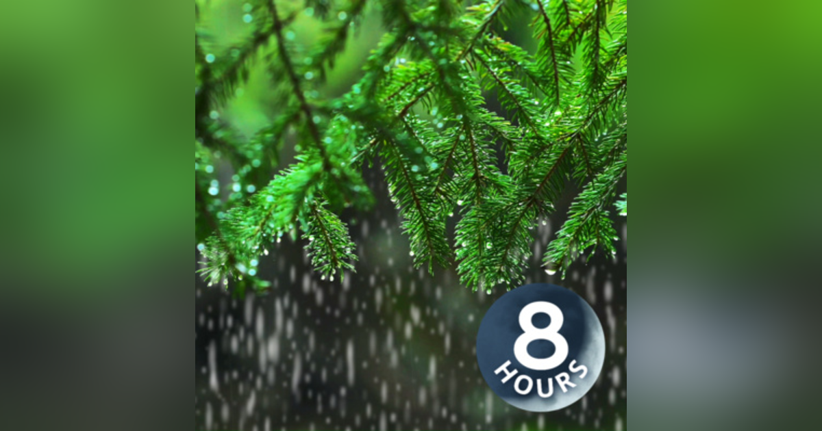Light Rain in the Woods 8 Hours I Relaxing Rainstorm White Noise for Sleep Light Rain in the Woods 8 Hours I Relaxing Rainstorm White Noise for Sleep