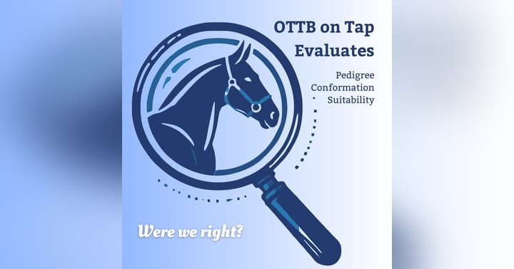 image for Were We Right? Owners Respond to Our OTTB Evaluations – Vol. 3