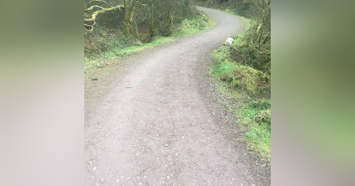 S2018 Ep14: MOANBAUN WOOD - a poem by Paul O'Mahony S2018 Ep14: MOANBAUN WOOD - a poem by Paul O'Mahony