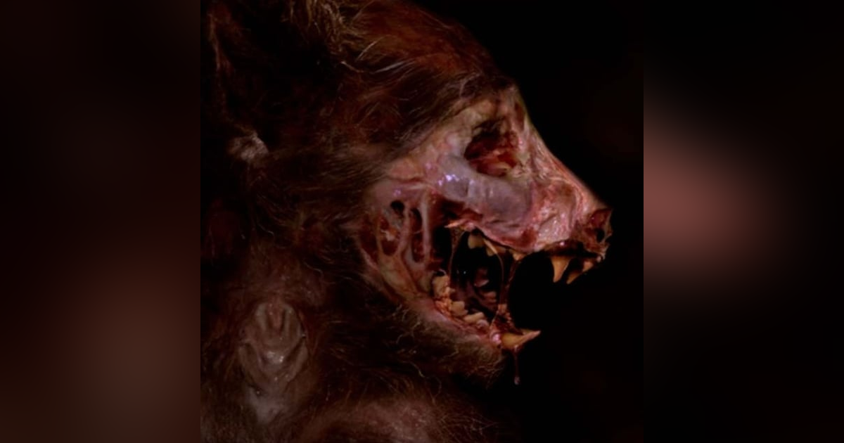 El Rancho De Los Nahuales Historias De Terror - REDE El Rancho De Los Nahuales Historias De Terror - REDE