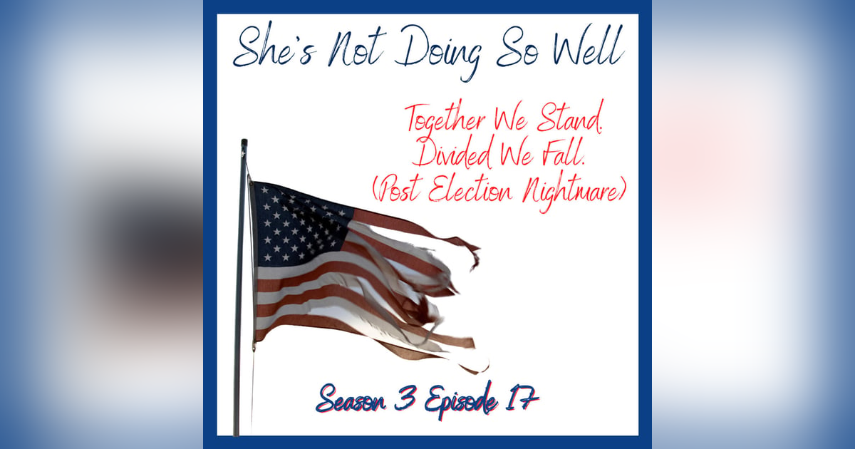 Together We Stand. Divided We Fall (Post Election Nightmare) Together We Stand. Divided We Fall (Post Election Nightmare)