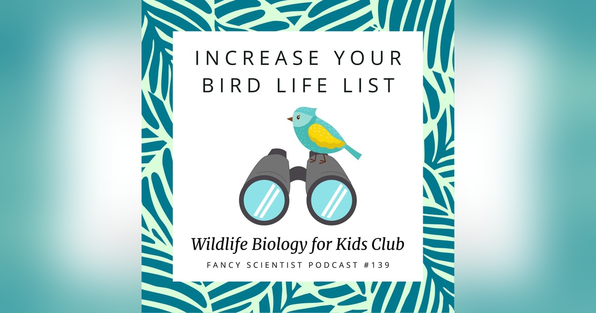 Increase Your Bird Life List | Wildlife Biology for Kids Club Increase Your Bird Life List | Wildlife Biology for Kids Club